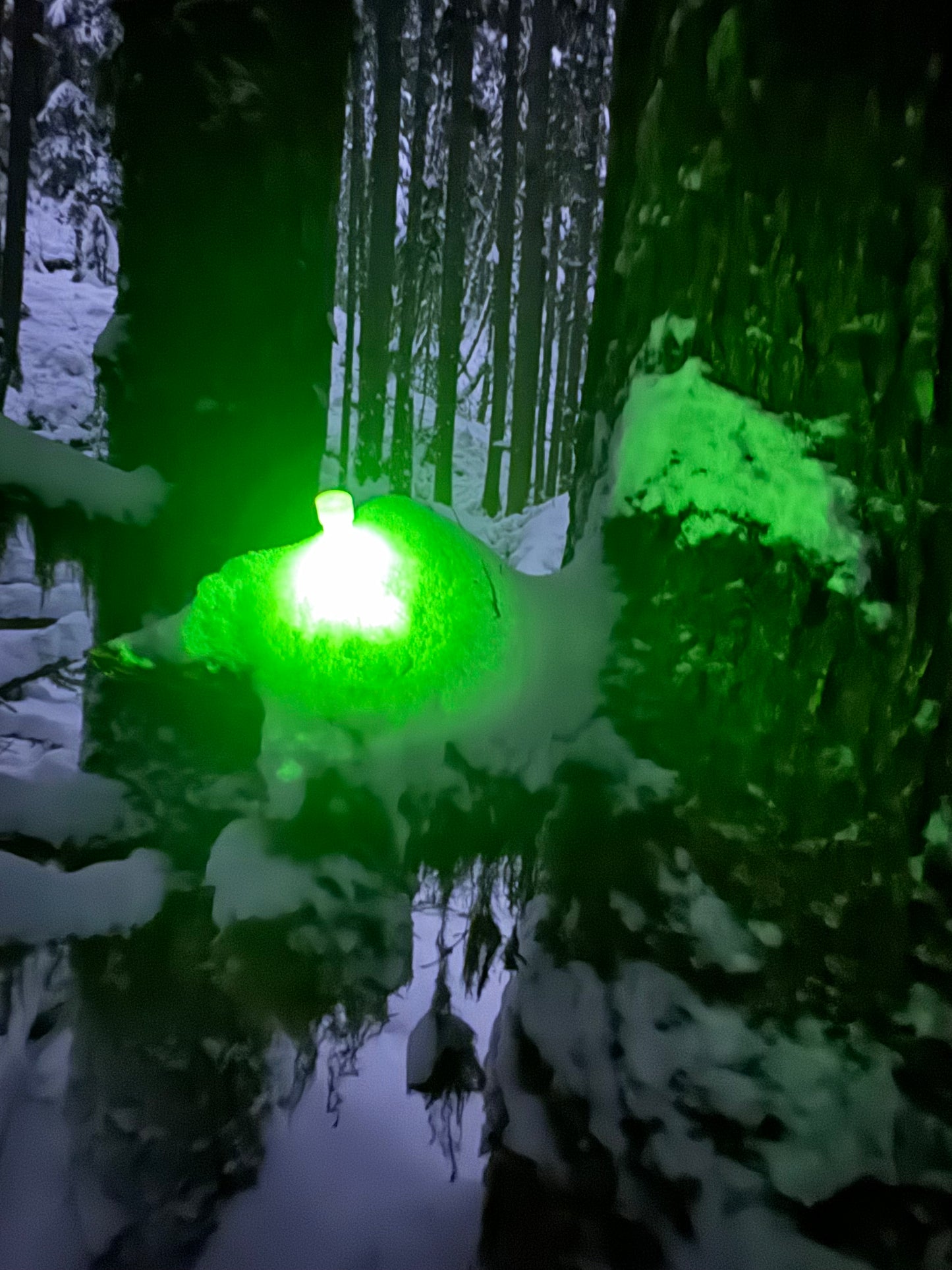4” chemlights “party glow sticks” 24hour chems.