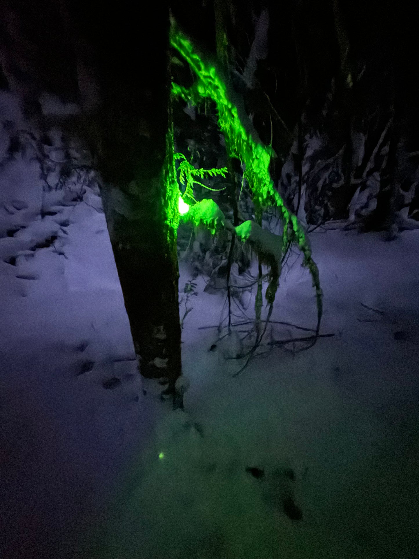 4” chemlights “party glow sticks” 24hour chems.
