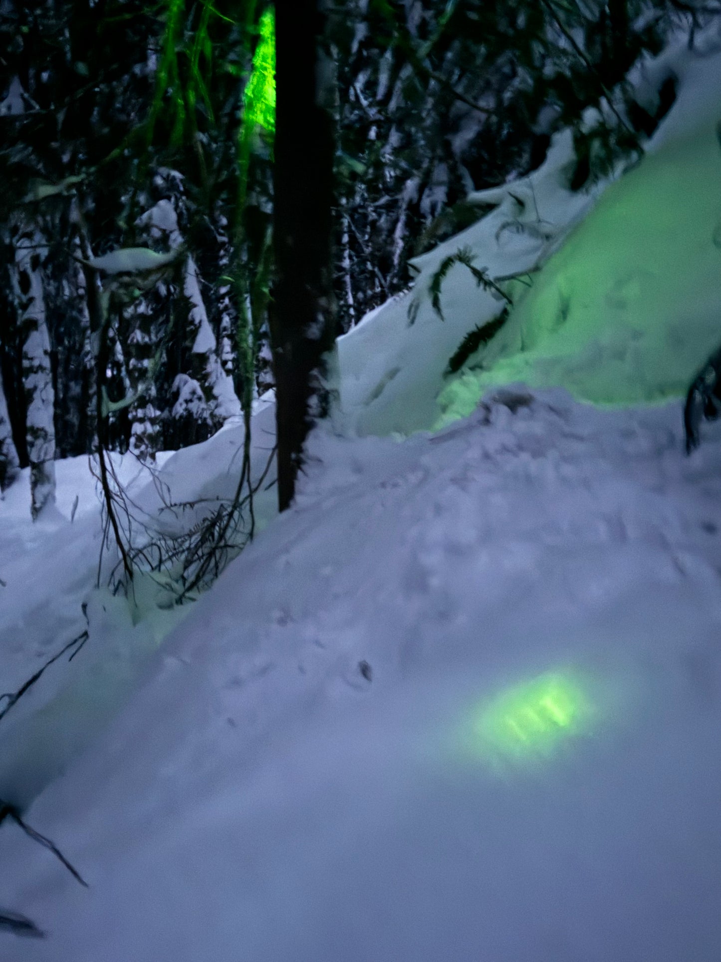 4” chemlights “party glow sticks” 24hour chems.