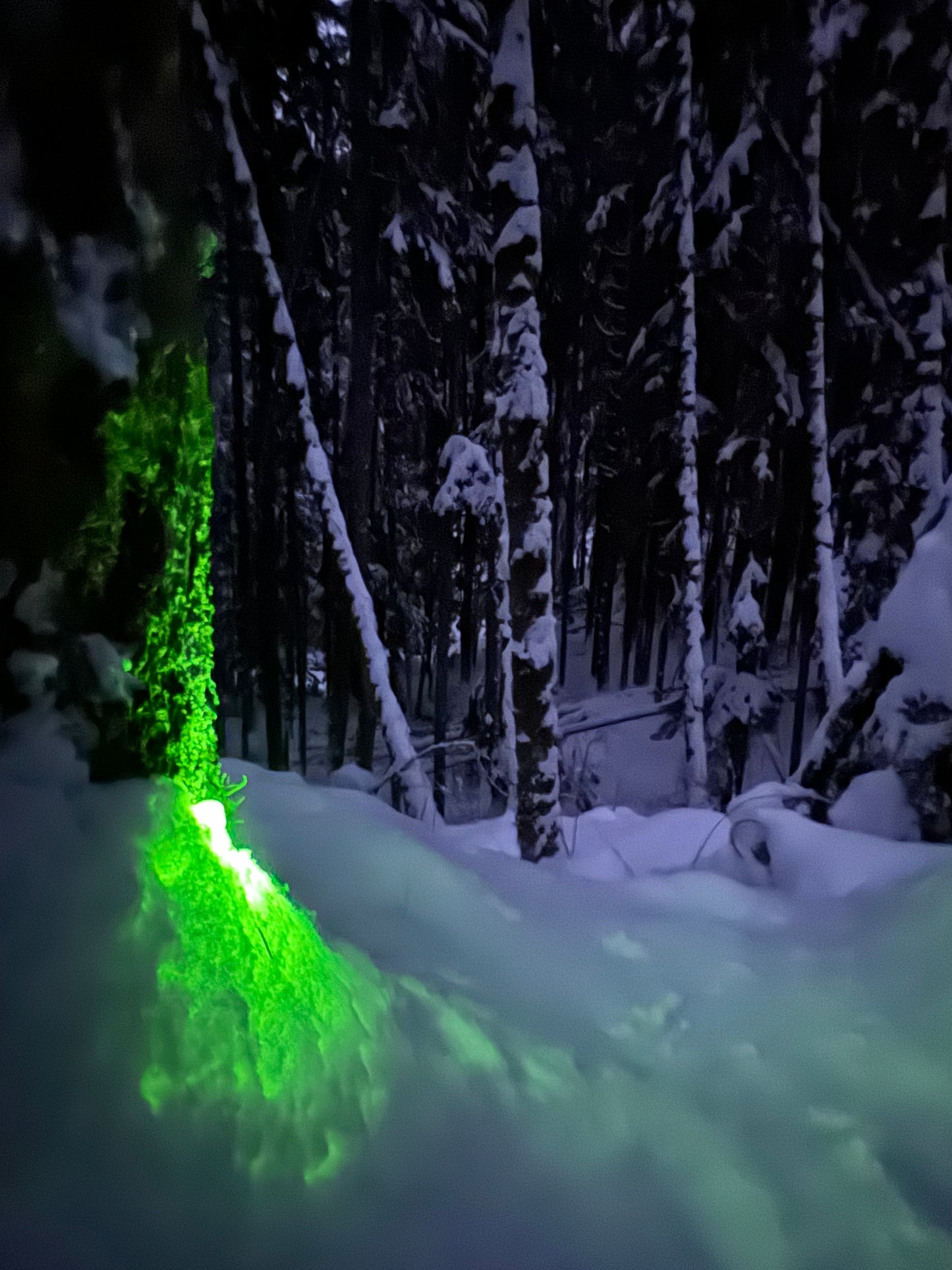 4” chemlights “party glow sticks” 24hour chems.