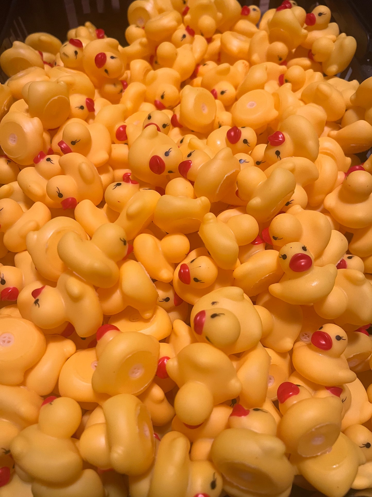 Duckies