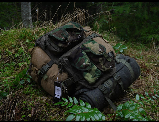 ‘LARGE’ Pre built overnight MILTEC Assault pack (36L)