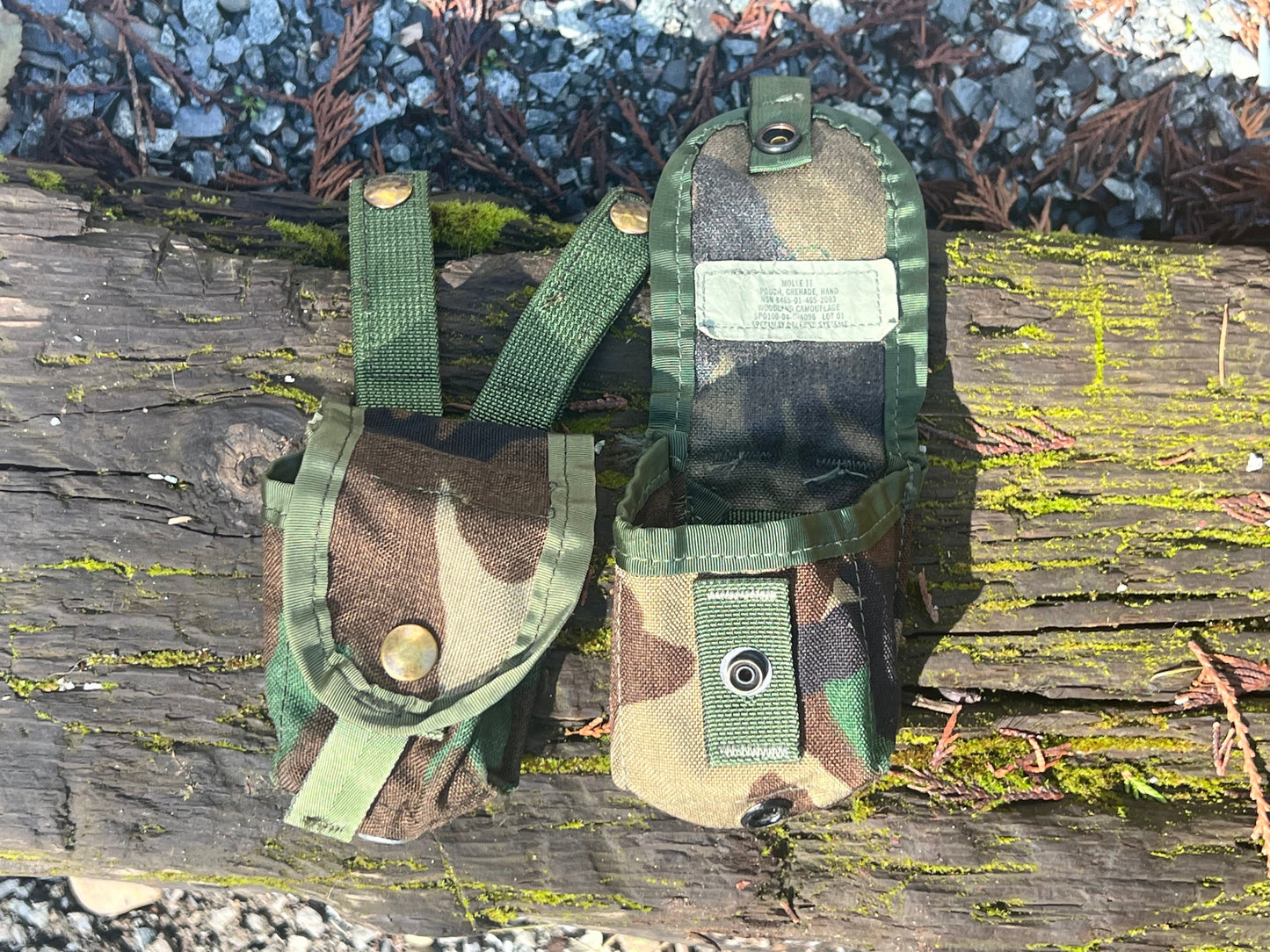 MOLLE-ii M81 Woodland pouches